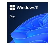 Microsoft Windows 11 Pro OEM DVD PL